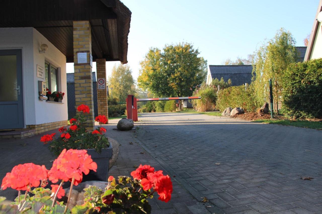 Finnhuette Nr.42 Auf Moenchgut Gager Exterior photo